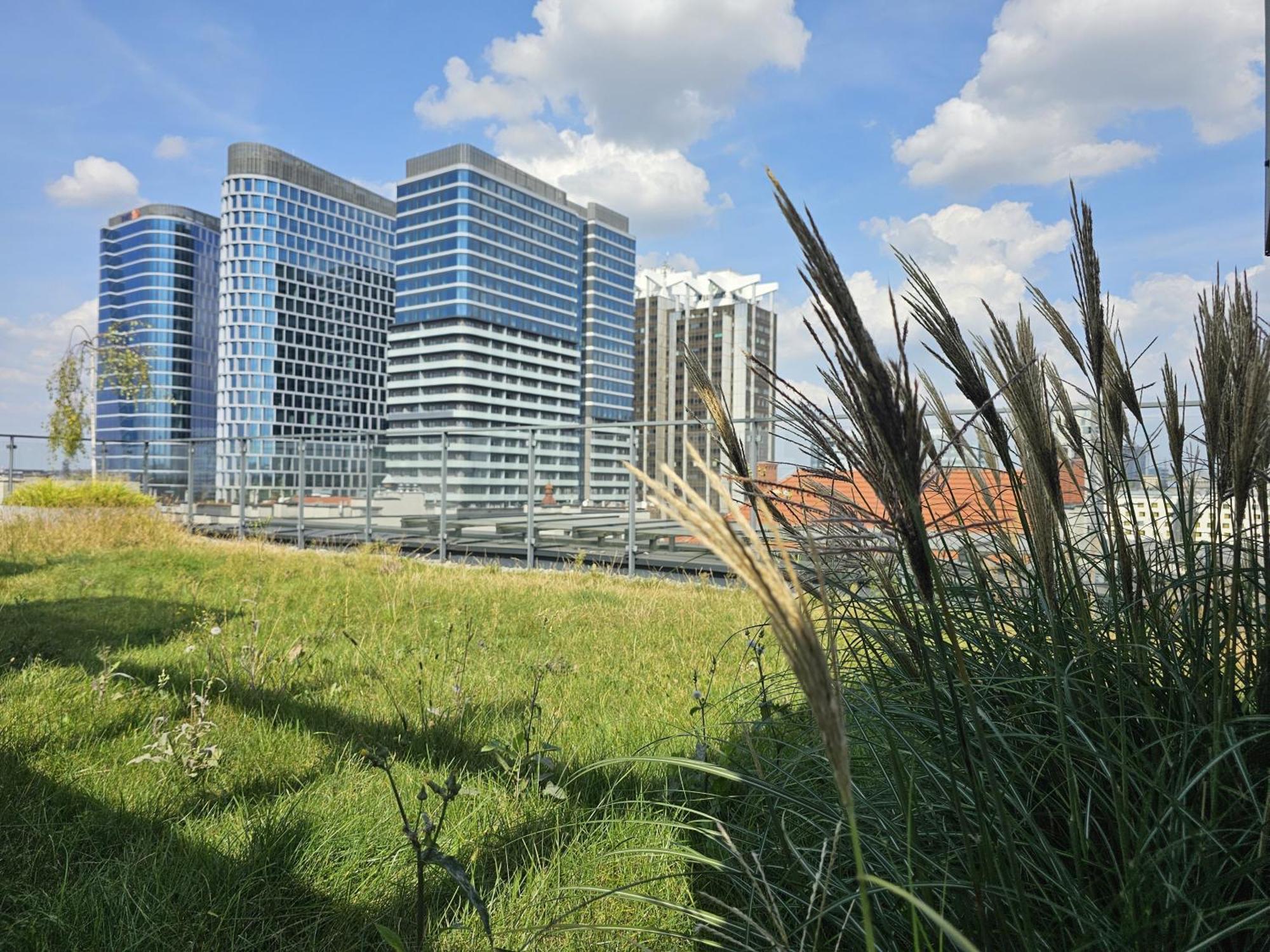 Urban Apartments Premium, Opolska 10 No 67B, Free Garage, Self Check-In Katowice Buitenkant foto